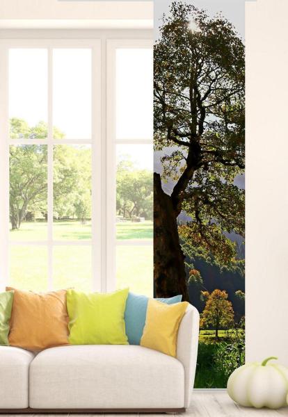 Flächenvorhang Herbstsonnenmomente  , Schiebevorhang, Schiebegardine, modern, 60 cm breit, 2,65 m h